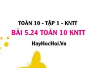 Bài 5.24 SGK Toán 10 Kết nối tri thức tập 1